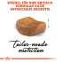 Bild vergrößern