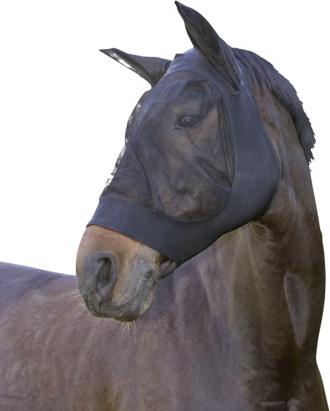 Fliegenschutzmaske FinoStretch Pony, schwarz
