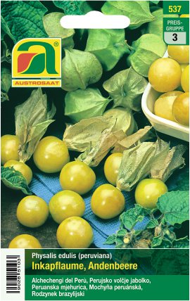 Inkapflaume Andenbeere