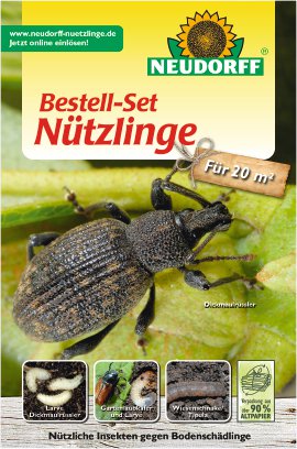 NEUDORFF® Bestell-Set Nützlinge