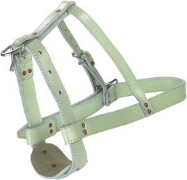 Bullenhalfter Leder, doppelt