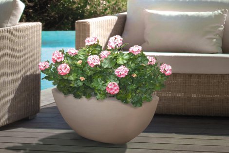 LIENBACHER Pflanzschale Capri Sand 52x20x23 cm