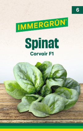 IMMERGRÜN Tütensamen Spinat Corvair F1