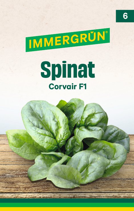IMMERGRÜN Tütensamen Spinat Corvair F1