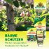 Bild vergrößern