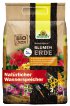 Bild vergrößern