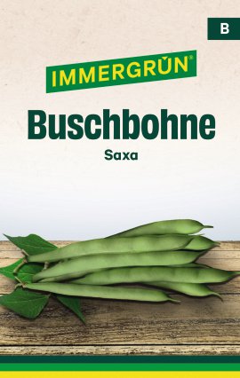 IMMERGRÜN Tütensamen Buschbohne Saxa