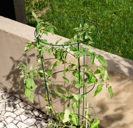 WINDHAGER Geflochtene PE-Schnur 2 mm x 50 m, weiß