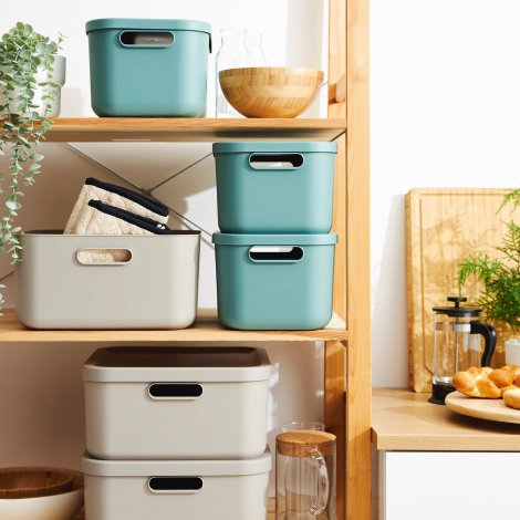 ROTHO Aufbewahrungsbox Albua Light Mistelgrün 20 l