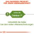 Bild vergrößern