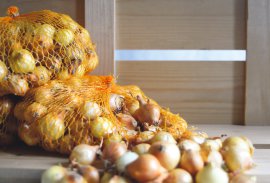 Steckzwiebel gelb Netz