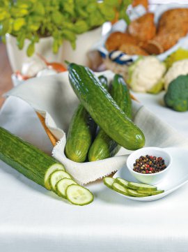 Bio Gemüse-Jungpflanzen