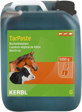 Buchenholzteer TarPaste 5 kg