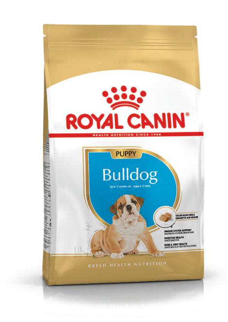 ROYAL CANIN Hundetrockenfutter Bulldog Junior 12 kg