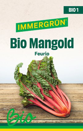 IMMERGRÜN Tütensamen BIO Mangold Feurio