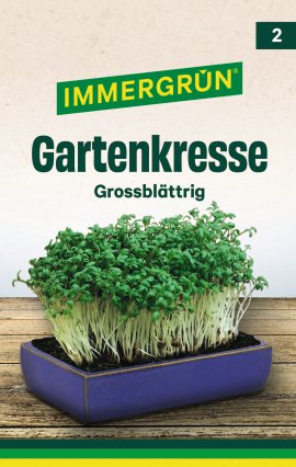 IMMERGRÜN Tütensamen Gartenkresse Grüne Krause