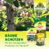 Bild vergrößern