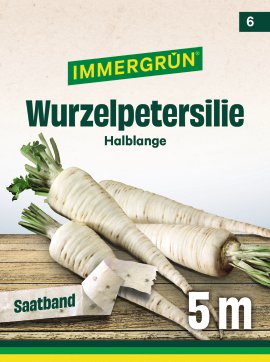 IMMERGRÜN Tütensamen Wurzelpetersilie Halblange
