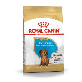ROYAL CANIN Hundetrockenfutter Dachshund Junior 1,5 kg