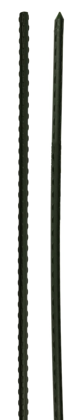 IMPOS Pflanzstab Stahl Grün