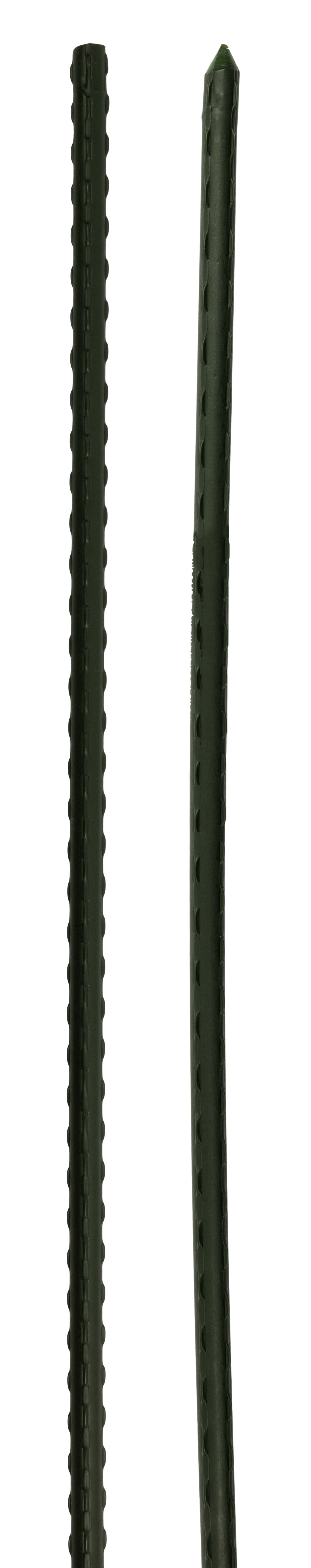 IMPOS Pflanzstab Stahl Grün