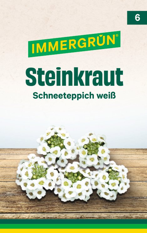 IMMERGRÜN Tütensamen Steinkraut Schneeteppich weiß