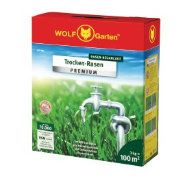 Welcher Rasensamen ist der richtige? Lagerhaus