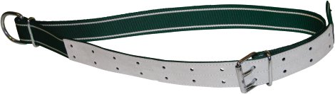 Halsband mit Ovalglied und D-Ring 150x5 cm, grün/weiß