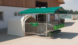 Vordach für CalfHouse Premium 4/5