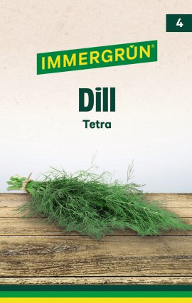 IMMERGRÜN Tütensamen Dill Tetra