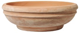 Schale Bordino