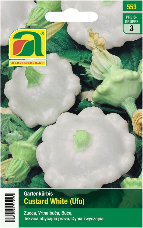 Kürbis Custard White Ufo weiß