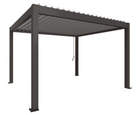 BIOHORT Pergola Dunkelgrau/Silber-Metallic