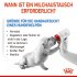 Bild vergrößern