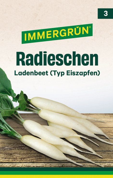 IMMERGRÜN Tütensamen Radieschen Ladenbeet Typ Eiszapfen