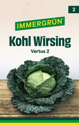 IMMERGRÜN Tütensamen Kohl Vertus 2