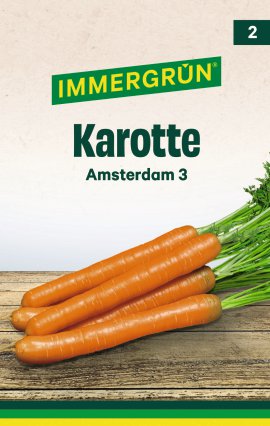 IMMERGRÜN Tütensamen Karotte Amsterdam 3