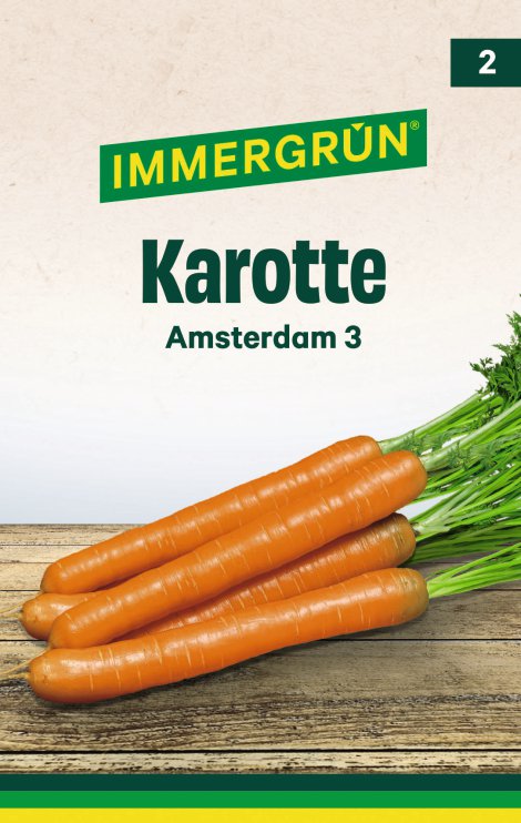 IMMERGRÜN Tütensamen Karotte Amsterdam 3