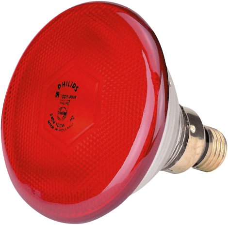 PHILIPS Infrarot-Sparlampe 175 W, rot