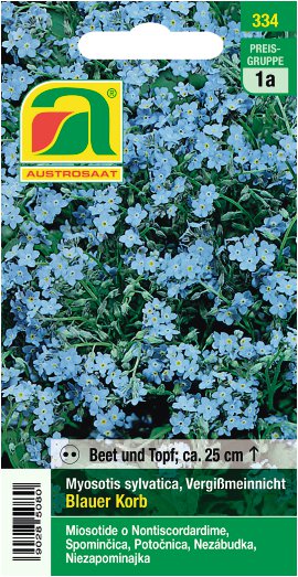 Myosotis Vergißmeinnicht