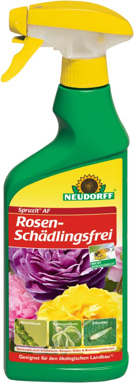 NEUDORFF® Spruzit AF RosenSchädlingsFrei 500 ml