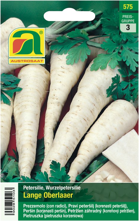 Wurzelpetersilie Lange Oberlaaer