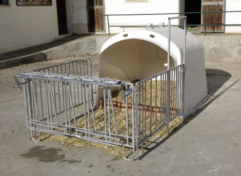 CalfHouse Premium XL mit Umzäunung