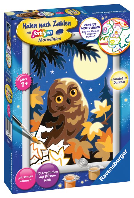RAVENSBURGER Malen nach Zahlen Eule im Mondschein