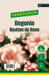 IMMERGRÜN Blumenzwiebel Begonia Bouton de rose