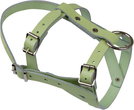 Kopfhalter für Schaf, weiß
