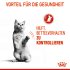 Bild vergrößern