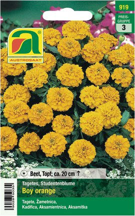 AUSTROSAAT Tütensamen Blumen PG 3