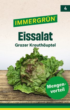 IMMERGRÜN Tütensamen Eissalat Grazer Krauthäuptel 2 Vorteilspack