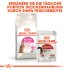 Bild vergrößern
